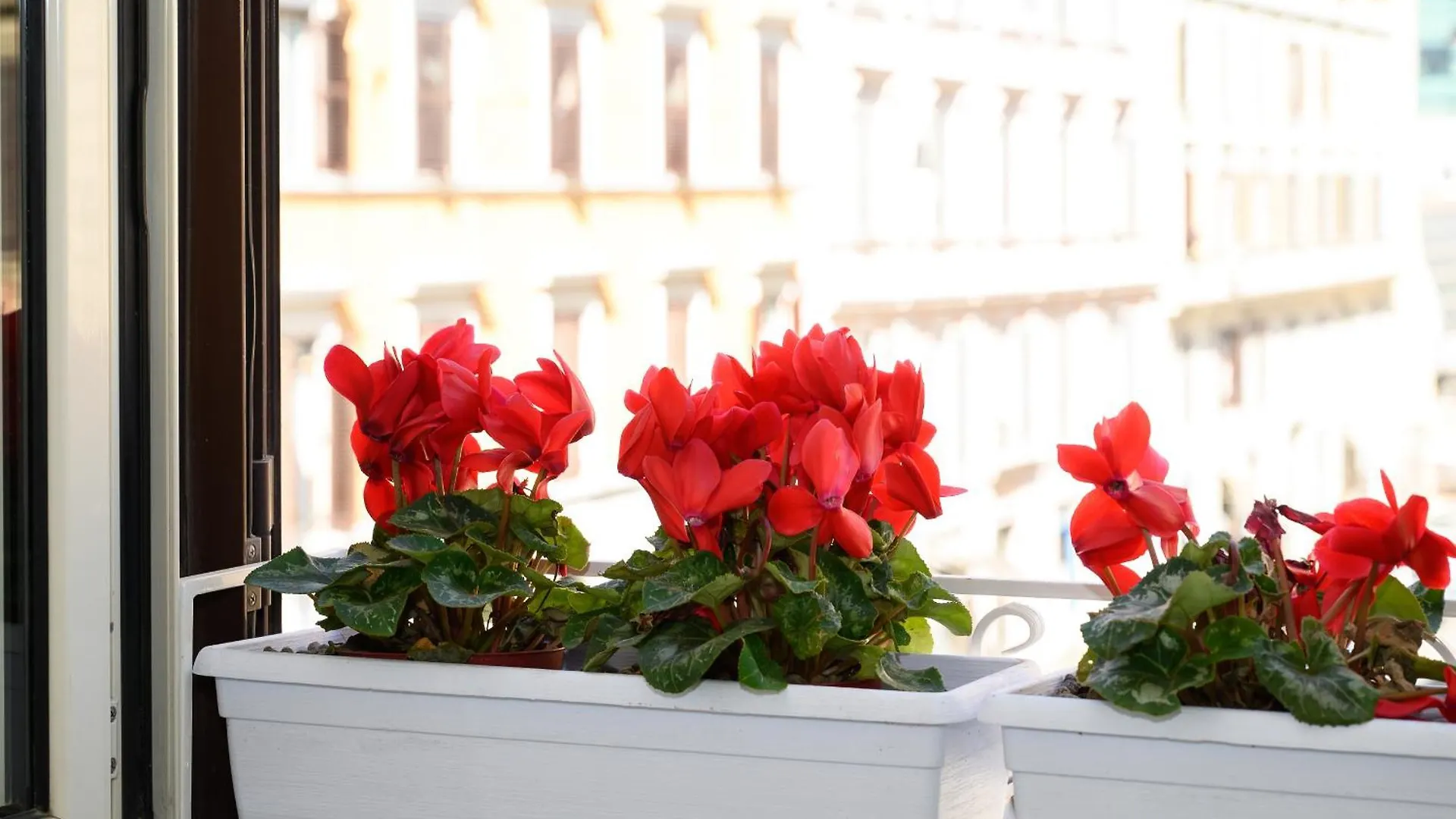 Magnoliahome Suites At The Vatican Rome Guest house