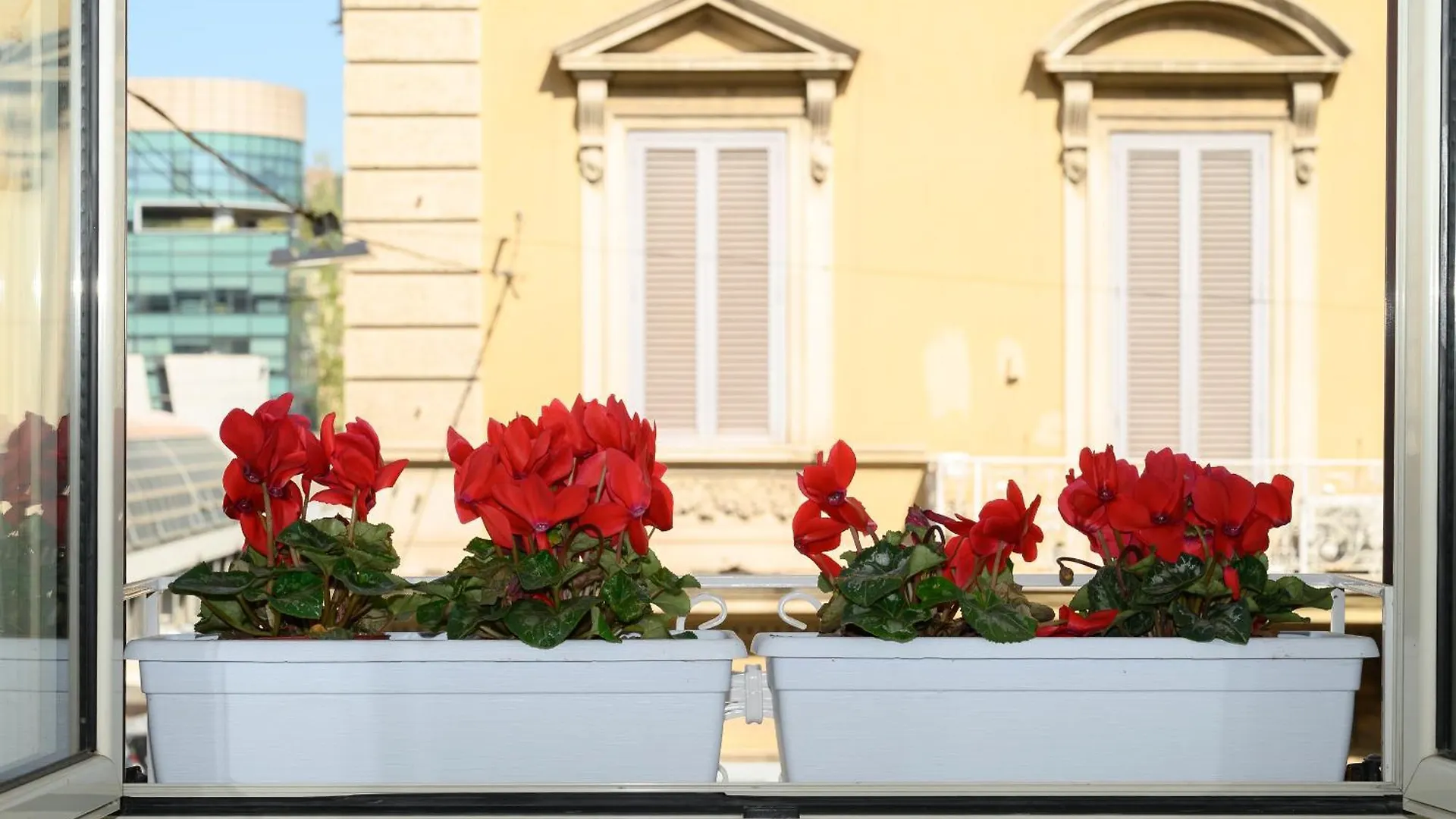 Magnoliahome Suites At The Vatican Rome Guest house